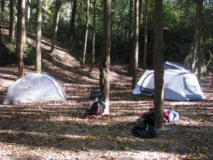 pop up camper, or tent it?