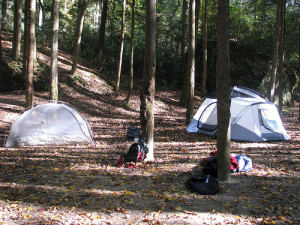 roll with pop up campers, or tent it?