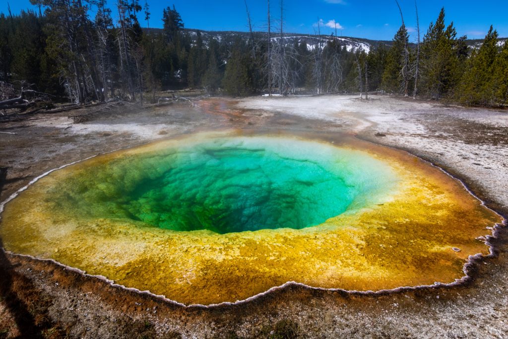 a hot spring at yellowstone national park